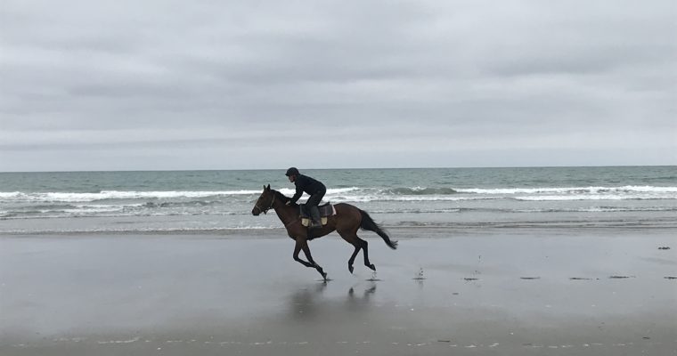 Nya Zeeland
